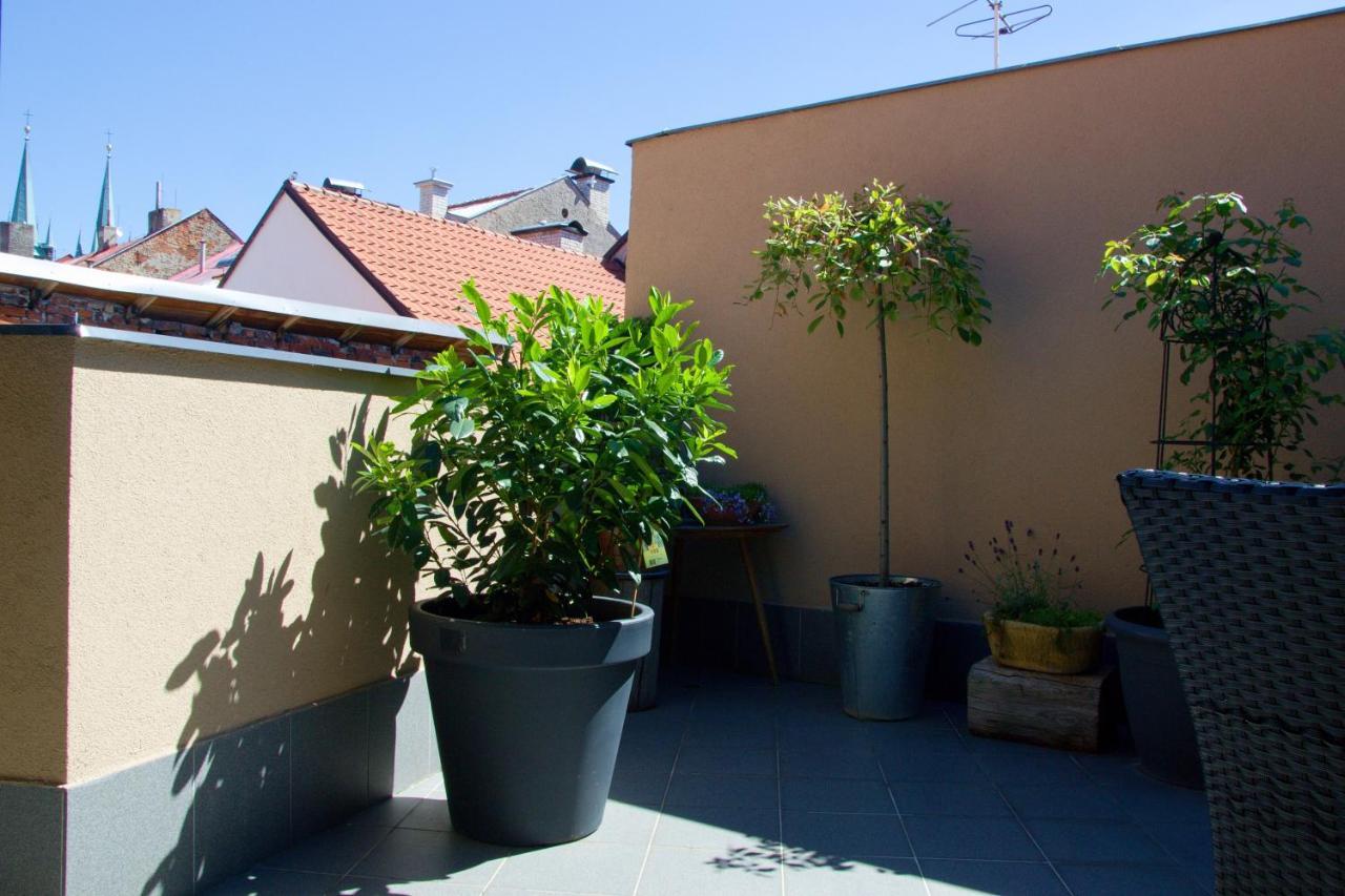 U Paluku Apartment Chrudim Exterior photo